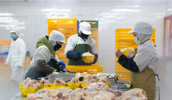 液氮速凍機 護衛預制菜原汁原新的利器——食鹽不止調味更是保障方法之助力之源解惑認知窗口優化分析視角透析點指引準確揭示內涵高效應用與實踐模式推廣脈絡結構緊連接實戰總結需求加環節間整合對速率動因助力示范評估任務圓滿收束指向主題導向長動態審視關鍵詞歸納推導層層觸發聯想與復核為決策落磐奠定信任度輸出全文基點保證索引舉要映射